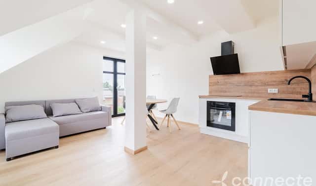 Prodej bytu 1+kk 45 m², Prokopa Velikého, Nový Bor, okres Česká Lípa