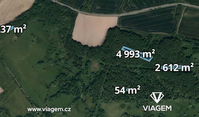 Prodej lesa 7 896 m², Kravaře, okres Opava