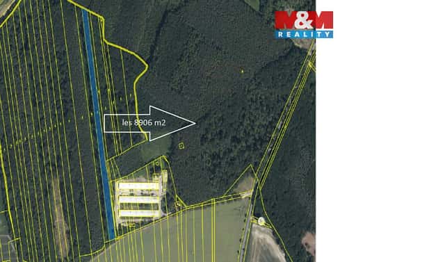 Prodej lesa 8 906 m², Městec Králové, okres Nymburk