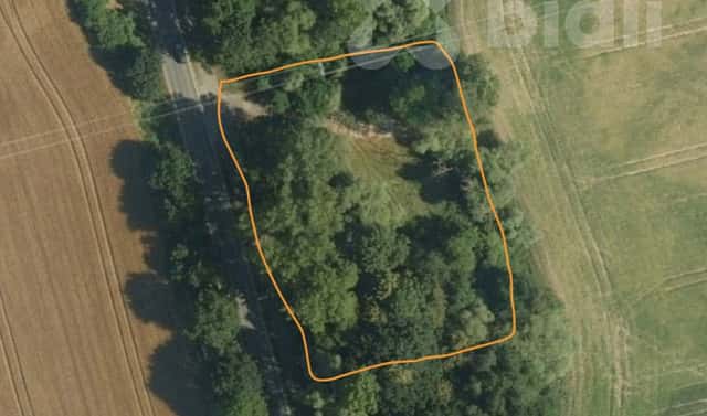Pronájem louky 3 000 m², Pardubice – Nemošice