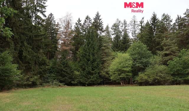 Prodej lesa 1 762 m², Chanovice – Újezd u Chanovic, okres Klatovy