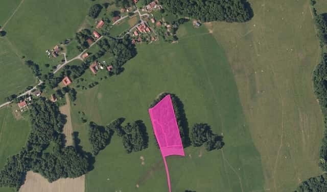 Prodej lesa 9 975 m², Benešov nad Černou – Hartunkov, okres Český Krumlov