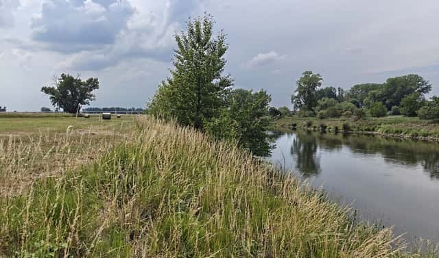 Prodej zahrady 800 m², Zálezlice, okres Mělník