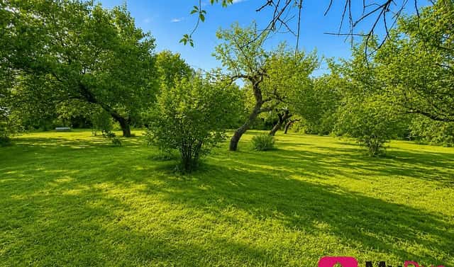 Prodej stavebního pozemku 1 465 m², Znojmo