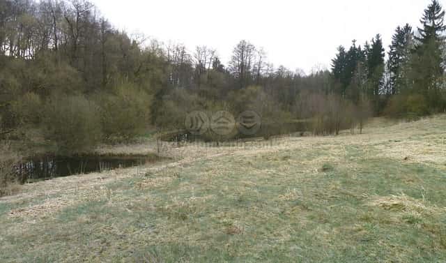 Prodej vodní plochy 17 310 m², Hazlov, okres Cheb