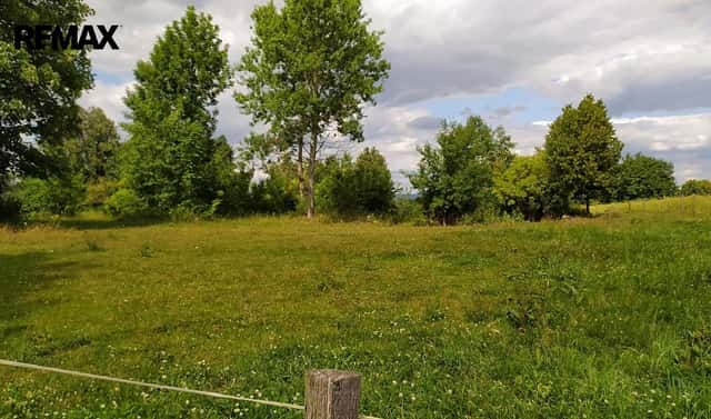 Prodej stavebního pozemku 7 880 m², Mladějov na Moravě, okres Svitavy