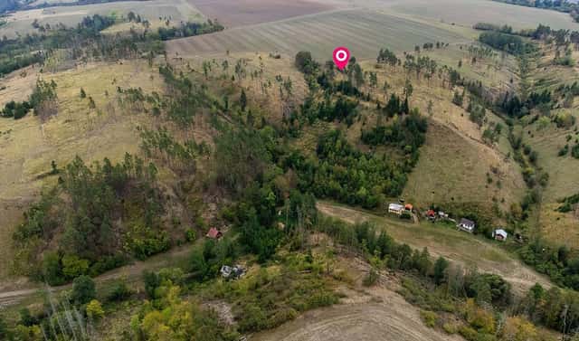 Prodej lesa 15 246 m², Vladislav – Střížov, okres Třebíč