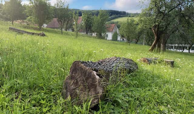 Prodej stavebního pozemku 1 536 m², Bojkovice, okres Uherské Hradiště