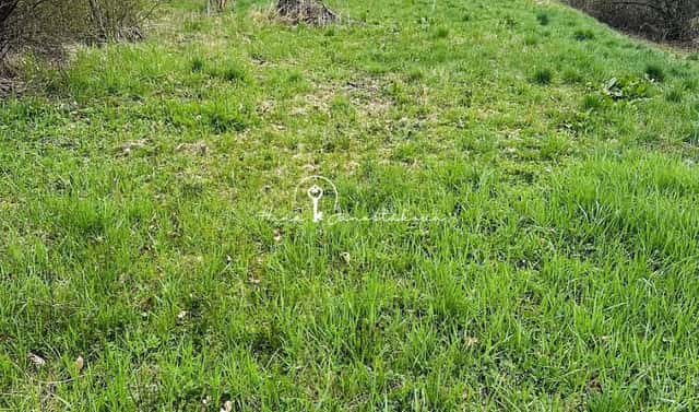 Prodej stavebního pozemku 2 291 m², Týn nad Vltavou – Koloděje nad Lužnicí, okres České Budějovice