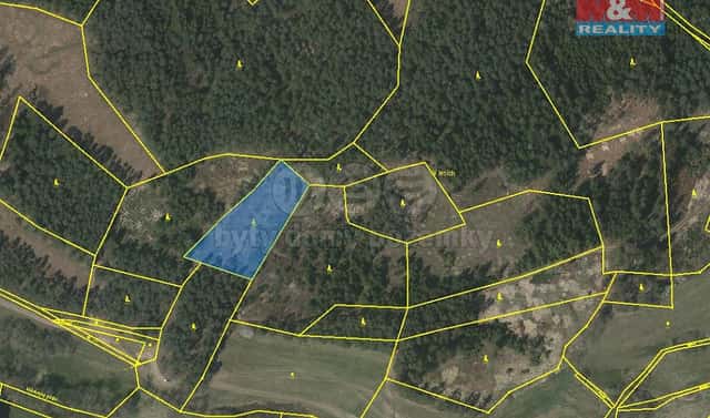 Prodej lesa 4 046 m², Přechovice, okres Strakonice