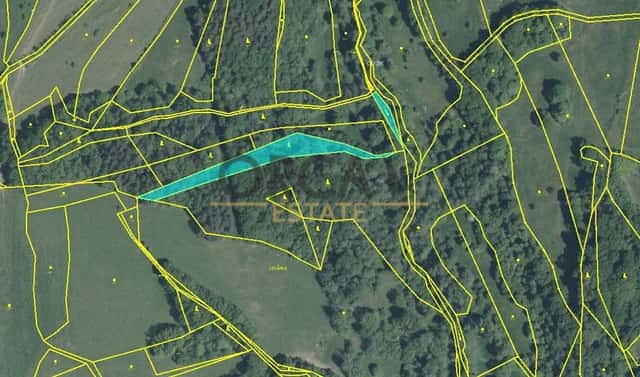 Prodej lesa 9 893 m², Pozlovice, okres Zlín