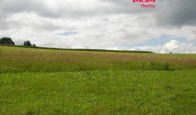 Prodej louky 4 214 m², Benecko, okres Semily
