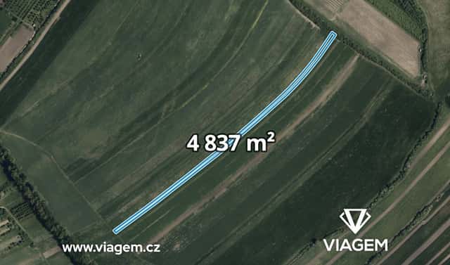 Prodej pole 2 418 m², Hrubá Vrbka, okres Hodonín