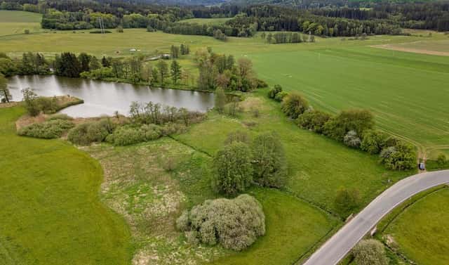 Prodej louky 5 250 m², Mladý Smolivec – Dožice, okres Plzeň-jih