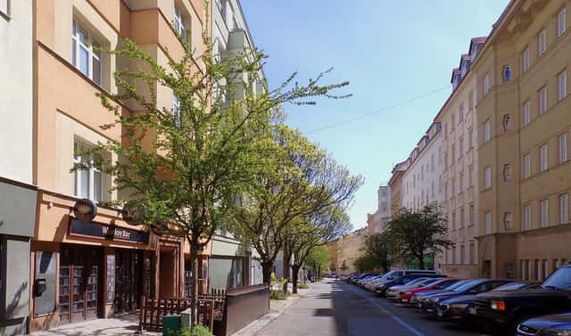 Pronájem bytu 1+1 45 m², Gorkého, Brno, okres Brno-město