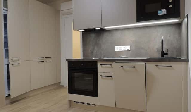 Pronájem bytu 1+kk 40 m², Šrámkové, Praha 3 – Žižkov