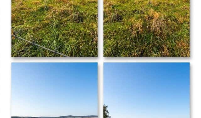 Prodej zahrady 2 165 m², Újezd, okres Beroun