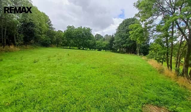 Prodej stavebního pozemku 1 913 m², Borotín, okres Tábor