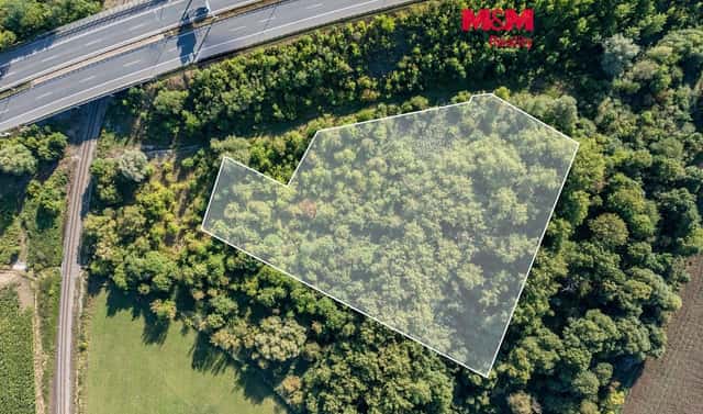 Prodej lesa 8 894 m², Praha 5 – Třebonice