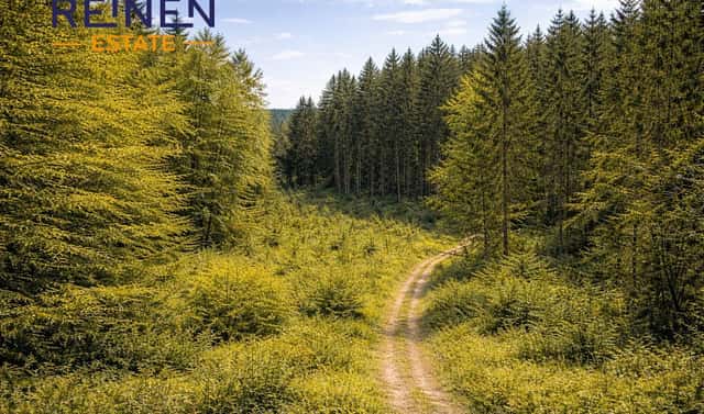 Prodej lesa 57 952 m², Železný Brod, okres Jablonec nad Nisou