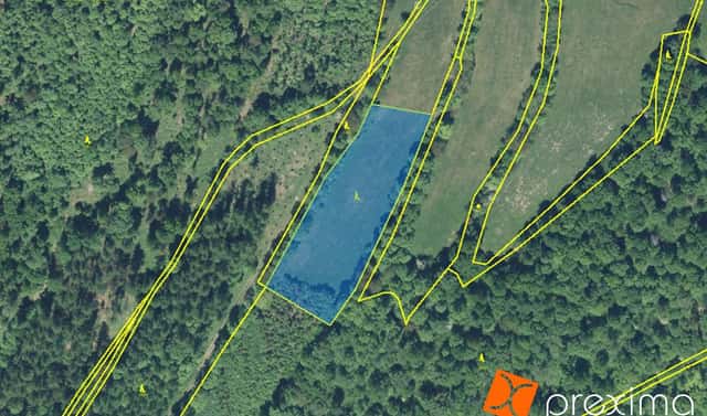 Prodej lesa 1 293 m², Jindřichov, okres Bruntál