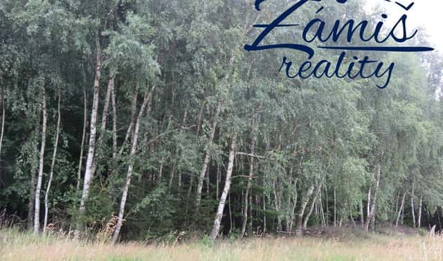 Prodej lesa 7 200 m², Pohledy, okres Svitavy
