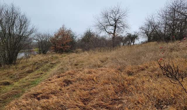 Prodej louky 6 483 m², Třebsko, okres Příbram