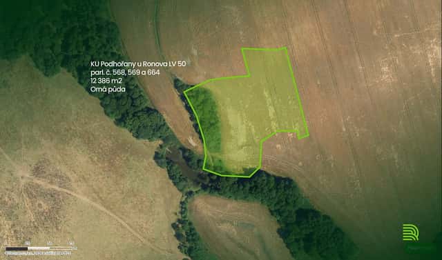 Prodej lesa 12 386 m², Podhořany u Ronova, okres Chrudim