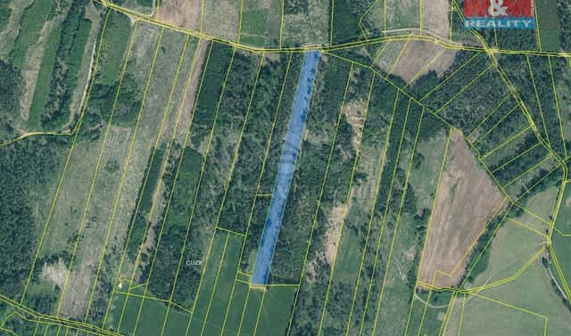 Prodej lesa 13 770 m², Jetětice, okres Písek