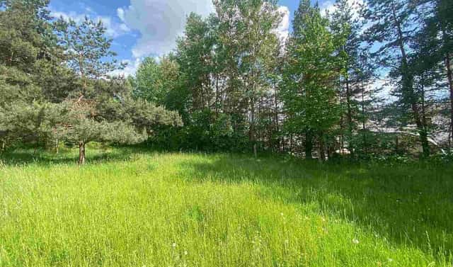 Prodej pozemku 2 300 m², Býkov-Láryšov – Býkov, okres Bruntál