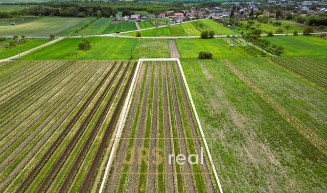 Prodej pole 3 474 m², Březí, okres Břeclav