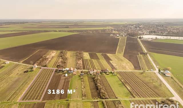Prodej stavebního pozemku 1 593 m², Moravský Žižkov, okres Břeclav