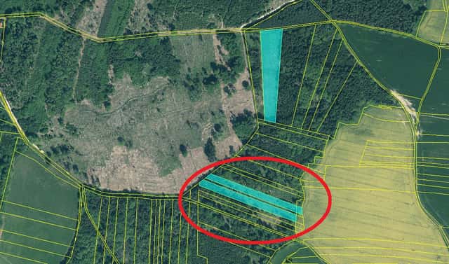 Prodej lesa 7 415 m², Stehlovice, okres Písek