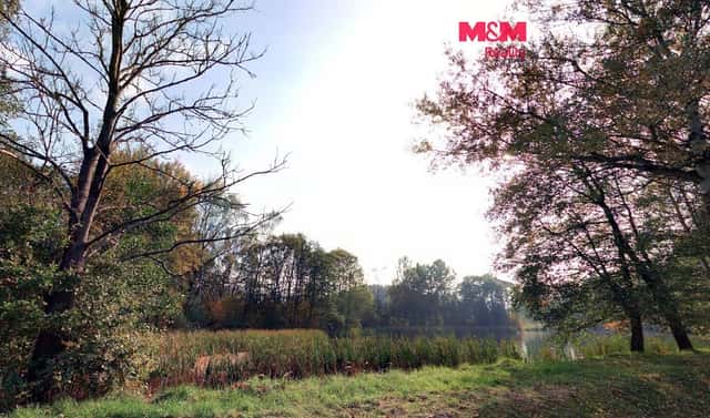 Prodej louky 7 011 m², Petrovice – Obděnice, okres Příbram