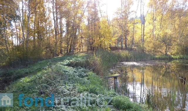 Prodej pozemku 1 225 m², Borovná, okres Jihlava