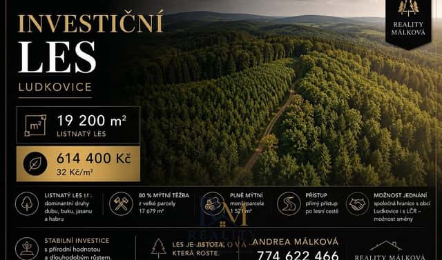 Prodej lesa 19 200 m², Ludkovice, okres Zlín