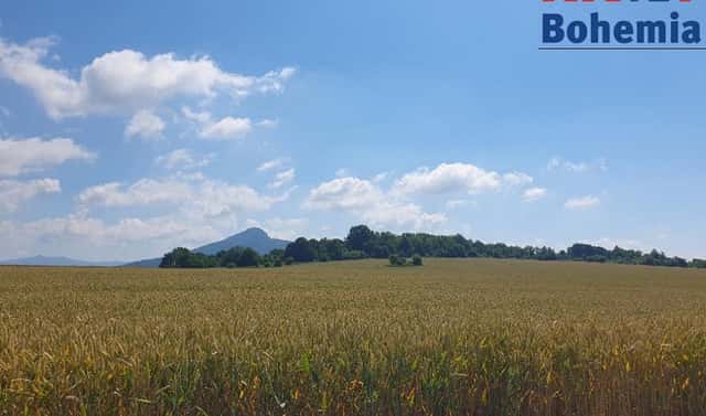Prodej pozemku 49 299 m², Pertoltice pod Ralskem, okres Česká Lípa
