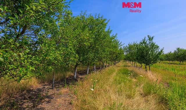 Prodej pole 53 078 m², Rakvice, okres Břeclav