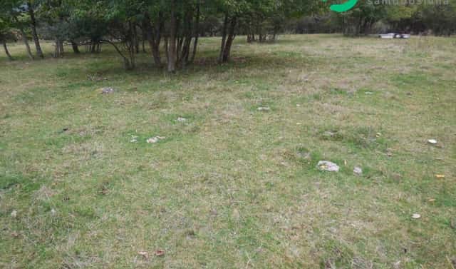 Prodej stavebního pozemku 4 000 m², Konstantinovy Lázně, okres Tachov