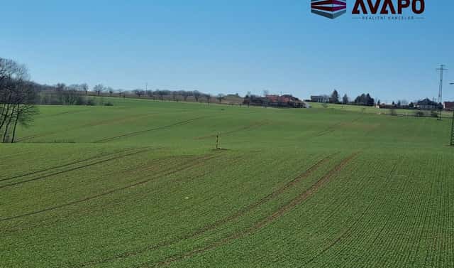 Prodej pole 17 432 m², Hrabyně, okres Opava