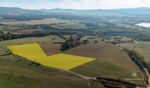 Prodej louky 26 111 m², Netolice, okres Prachatice