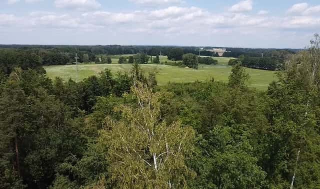 Prodej pole 130 000 m², Chlum u Třeboně – Žíteč, okres Jindřichův Hradec