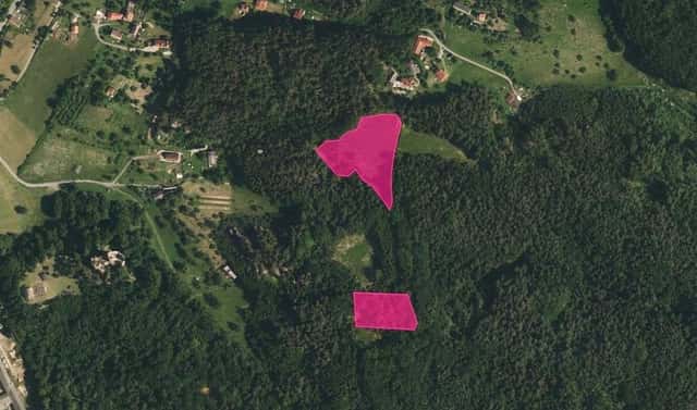 Prodej louky 10 524 m², Boseň, okres Mladá Boleslav