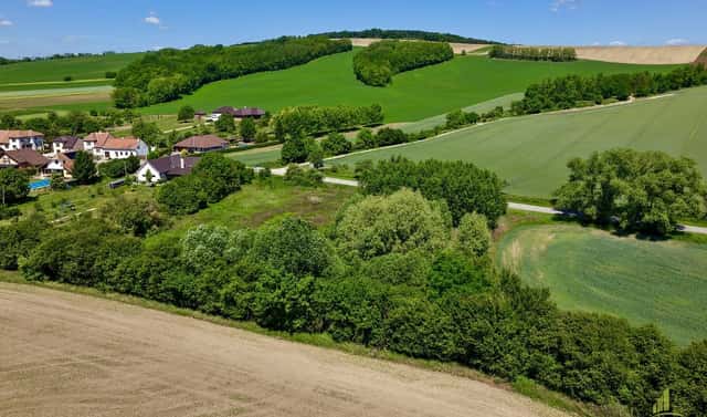Prodej stavebního pozemku 7 284 m², Diváky, okres Břeclav