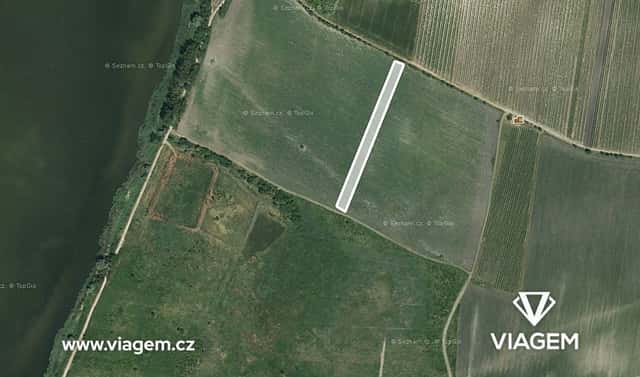 Prodej pole 1 545 m², Hlohovec, okres Břeclav