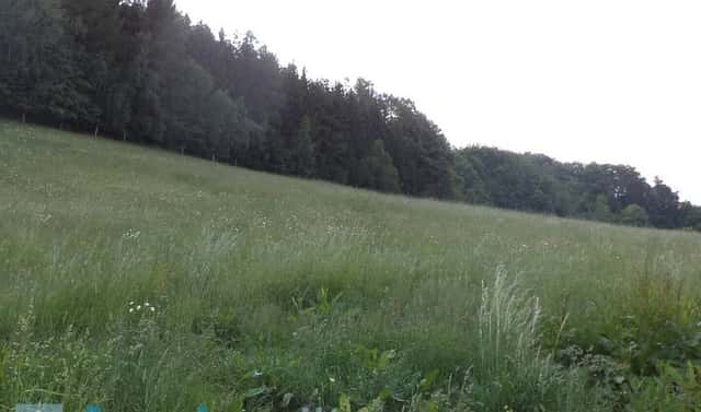 Prodej pole 12 576 m², Městečko Trnávka, okres Svitavy