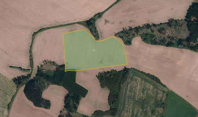 Prodej pole 54 364 m², Pavlínov, okres Žďár nad Sázavou