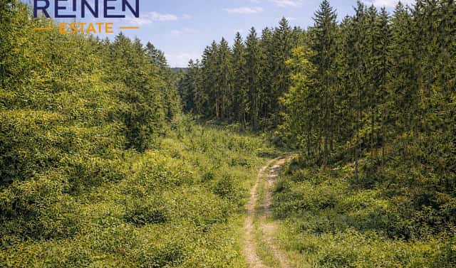 Prodej lesa 30 897 m², Svatá Maří, okres Prachatice