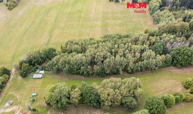 Prodej lesa 715 m², Rodná, okres Tábor