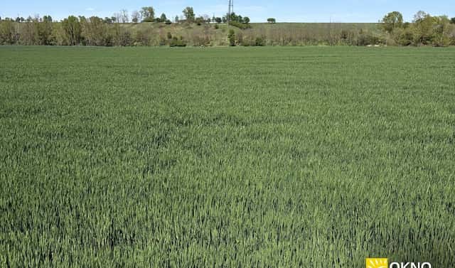 Prodej pole 6 042 m², Sobotovice, okres Brno-venkov